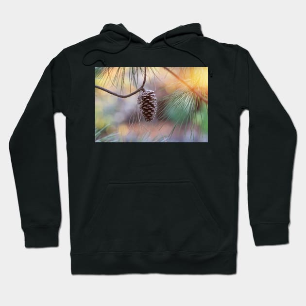 Autumn Moods Hoodie by incredi